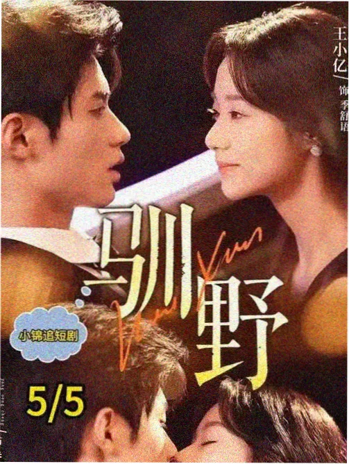 潮汐之城都市剧海报